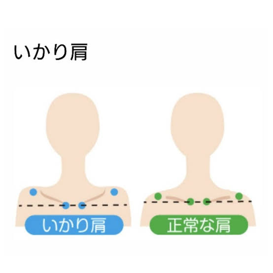 いかり肩の人 ガールズちゃんねる Girls Channel