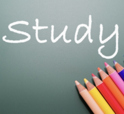 大人になってから勉強したくなった人