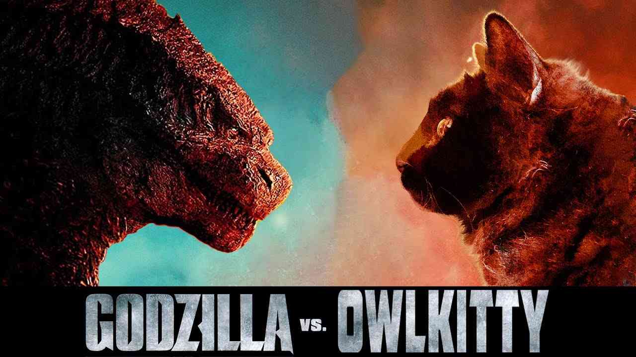 Godzilla vs. Cat (OwlKitty Parody) - YouTube