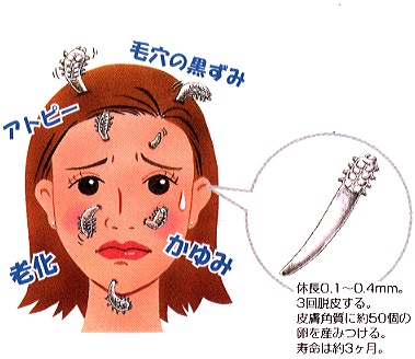 【閲覧注意かも】衝撃を受けた画像を貼るトピPart2