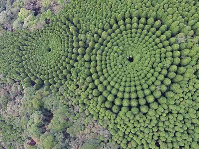 音声チャット来月開始　クラブハウスと競合　米ツイッター