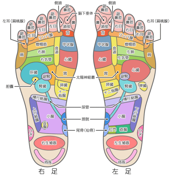 ツボを押して痛いところが不調って言うけど…本当？　医師が回答