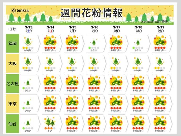 スギ花粉に加え　都内などヒノキ花粉の飛散始まる　日曜以降は大量飛散注意(日直予報士 2021年03月13日) - 日本気象協会 tenki.jp