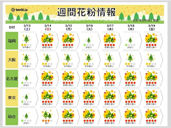 スギ花粉に加え　都内などヒノキ花粉の飛散始まる　日曜以降は大量飛散注意
