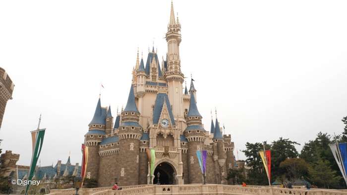 「役員報酬を削減すべき」　ディズニーの最も厳しい批評家は共同創業者の孫娘