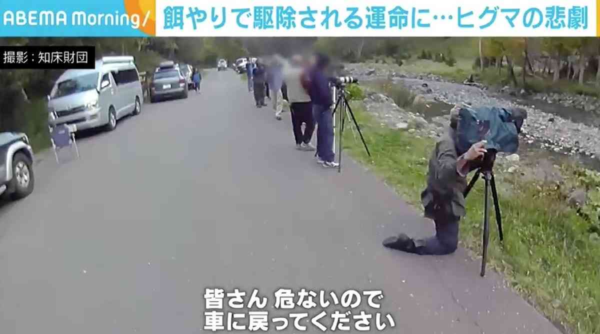 餌やりで駆除されるヒグマの悲劇 財団職員が訴え「死ぬ理由をつくったことをわかって」 国立公園などでの野生動物への餌やり厳罰化