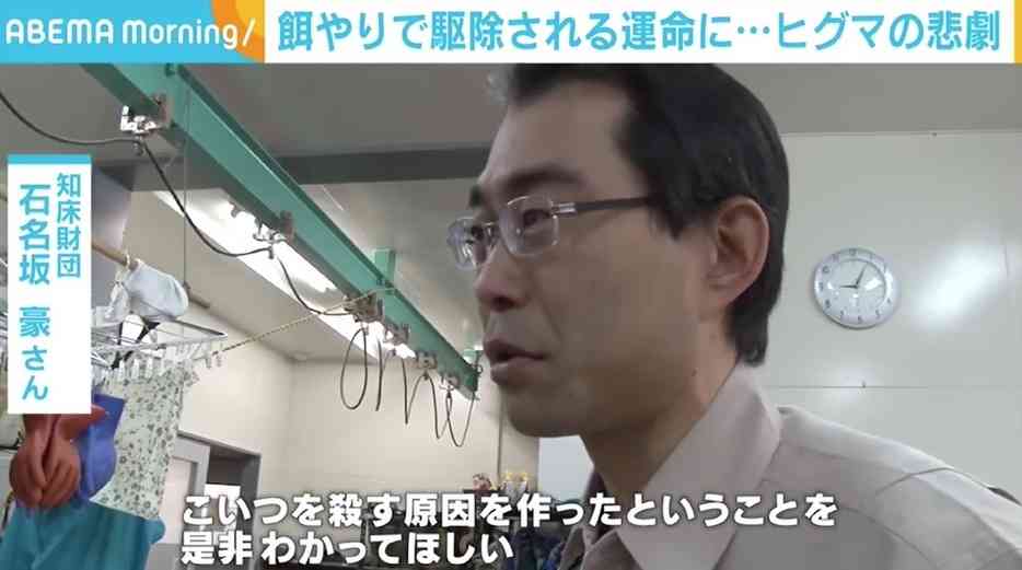 餌やりで駆除されるヒグマの悲劇 財団職員が訴え「死ぬ理由をつくったことをわかって」 国立公園などでの野生動物への餌やり厳罰化