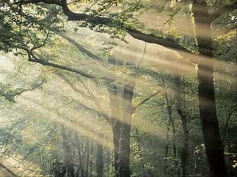 久石譲 Green Requiem Joe Hisaishi - YouTube
