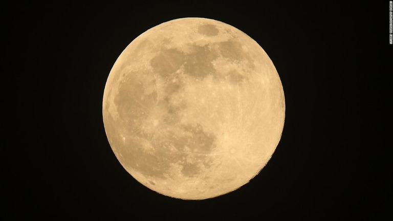 CNN.co.jp : 月に「ノアの箱舟」建設を、地球滅亡に備えて６７０万種の生命を保管