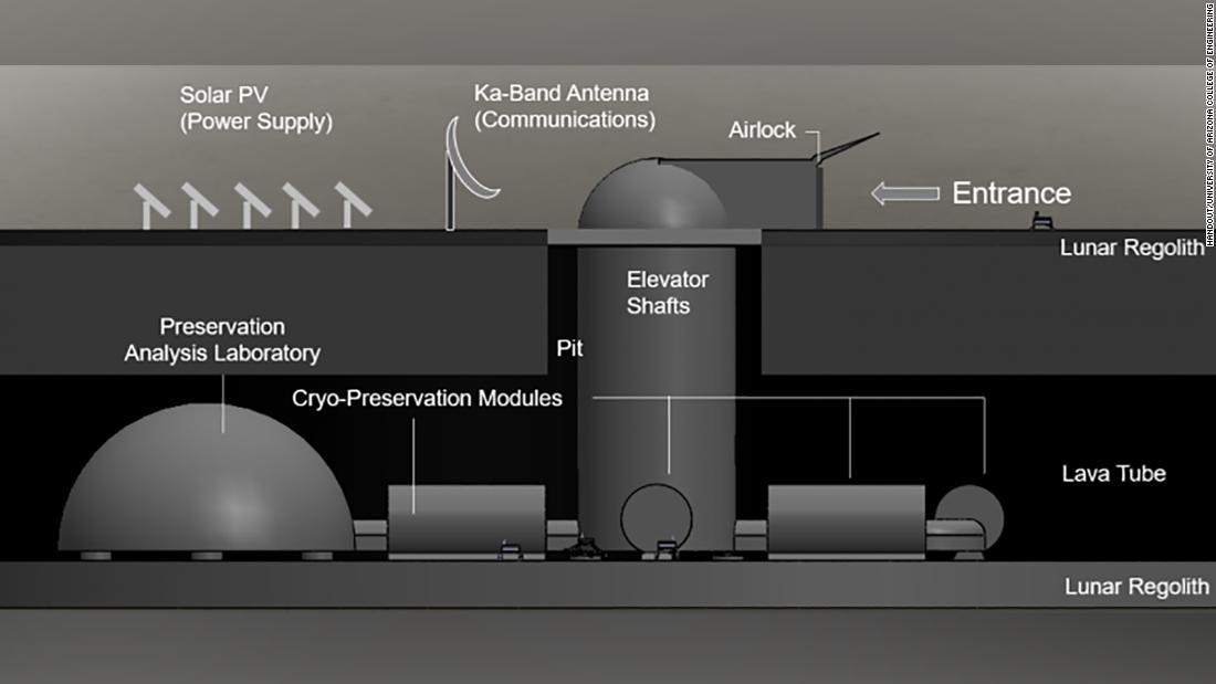 月に「ノアの箱舟」建設を、地球滅亡に備えて670万種の生命を保管
