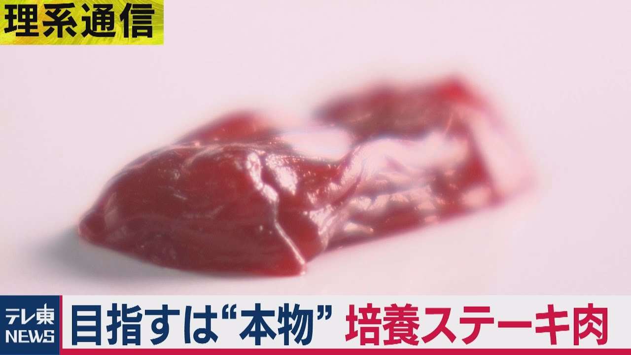 目指すは“本物” 東大生研×日清食品の培養ステーキ肉【理系通信】（2021年3月10日） - YouTube