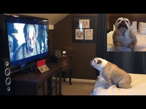 Khaleesi Reacts to “IT Chapter Two” Final Trailer - YouTube