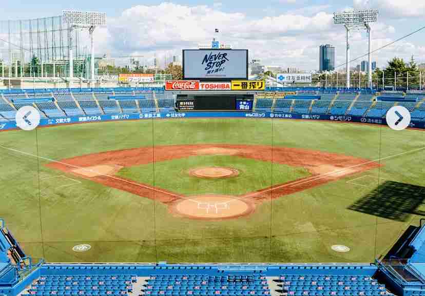 プロ野球の球場、観戦あるある⚾️🏟