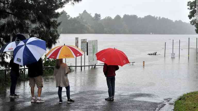 CNN.co.jp : 大量のクモやヘビが住宅地に押し寄せる、洪水で集団避難　豪 - (1/2)