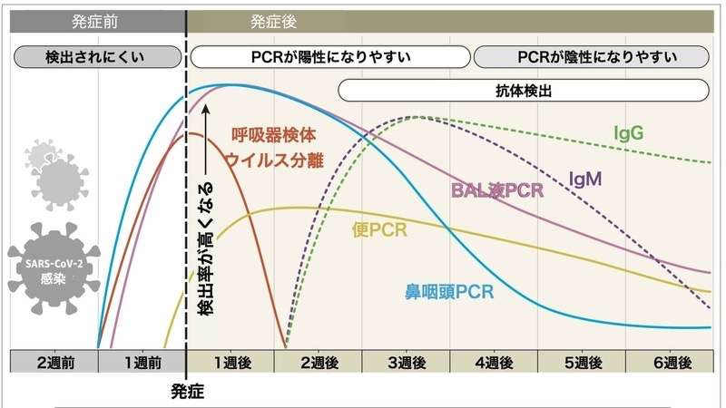 「数個のウィルス付着で陽性」の嘘