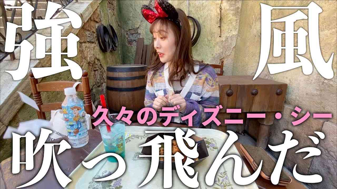 友達と強風の中ディズニー・シーに行ったら色々吹っ飛びました… - YouTube