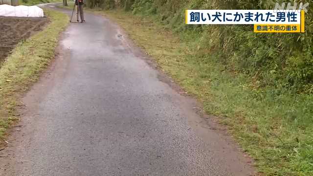 薩摩川内市で男性が飼い犬にかまれ意識不明の重体｜NHK 鹿児島県のニュース