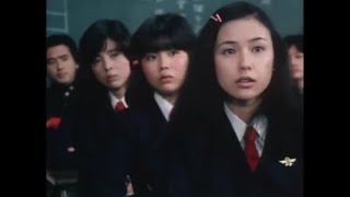 もっと売れてもよかったのに!と思った芸能人