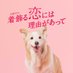 【公式】『着飾る恋には理由があって』TBS火曜ドラマ on Twitter: 