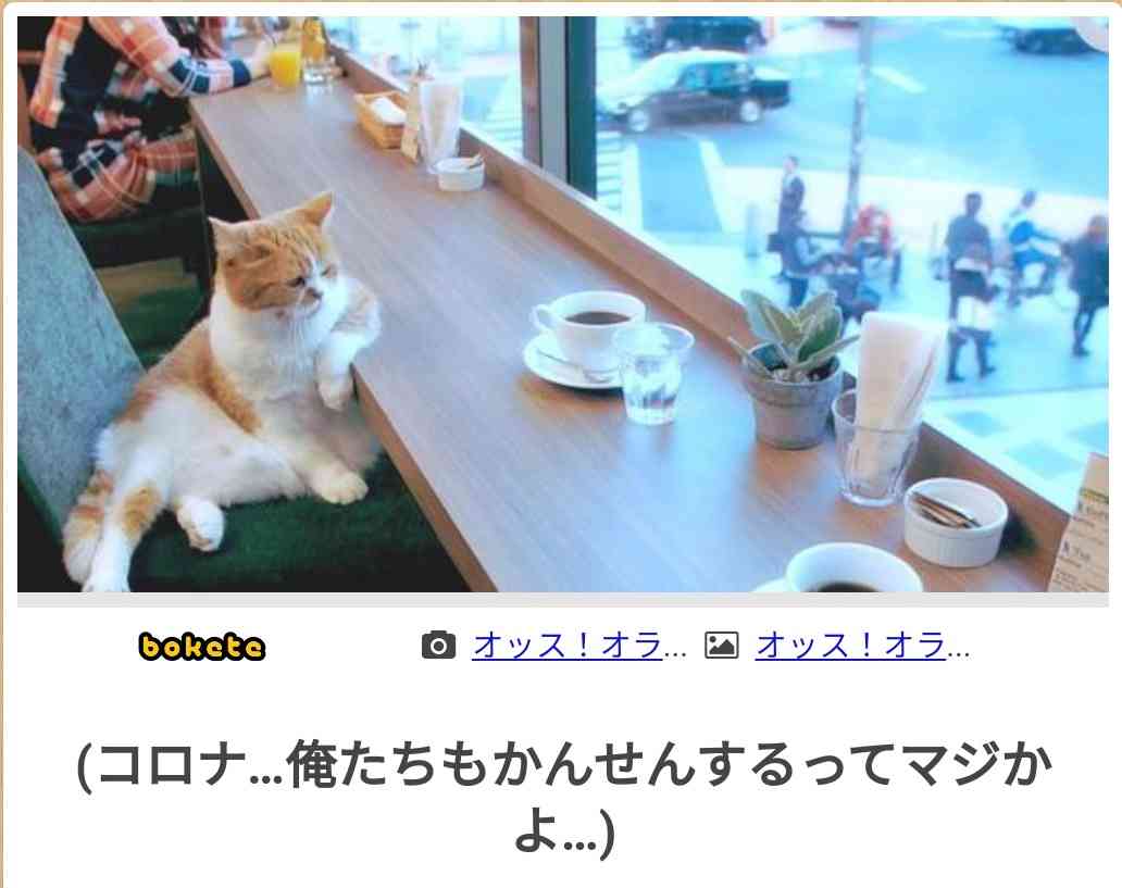 新型コロナ　東京都で新たに446人の感染確認
