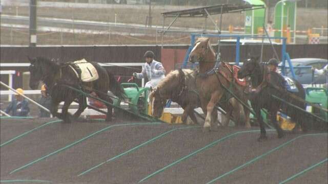 帯広「ばんえい競馬」２３日の開幕前にデビュー目指す競走馬の能力検査　昨シーズンは過去最高の売り上げ（HTB北海道ニュース） - Yahoo!ニュース