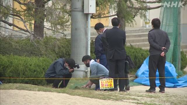 小学校で木製の柱折れ児童にぶつかり1人死亡 宮城 白石 | 事故 | NHKニュース