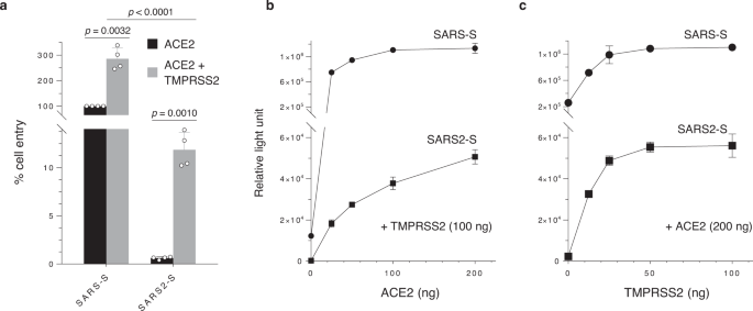 SARS-CoV-2 D614G spike mutation increases entry efficiency with enhanced ACE2-binding affinity | Nature Communications