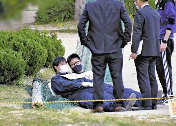 市教育長「落とし穴だった」…設置者不明の防球ネット、支柱倒れ２児死傷 : 社会 : ニュース : 読売新聞オンライン
