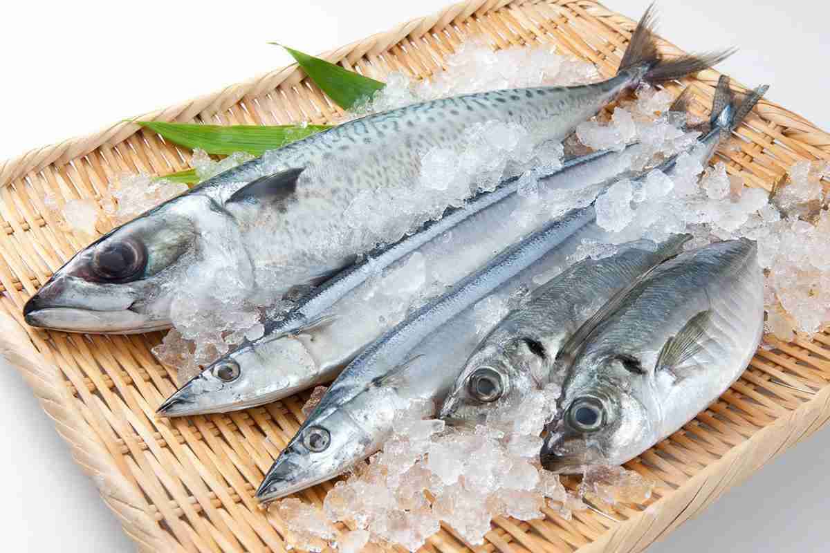 「魚が最高においしい」と思う都道府県　「富山」「長崎」を抑えて第1位に輝いたのは？