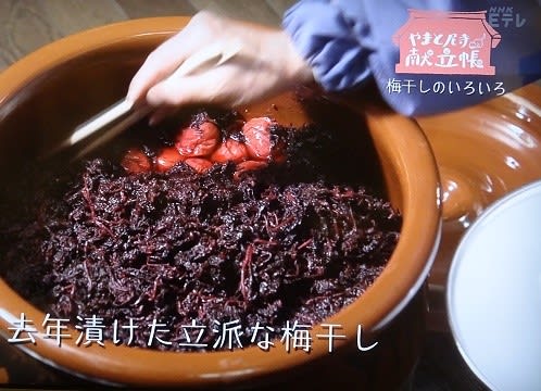 【梅】梅について語りませんか?【レシピ】