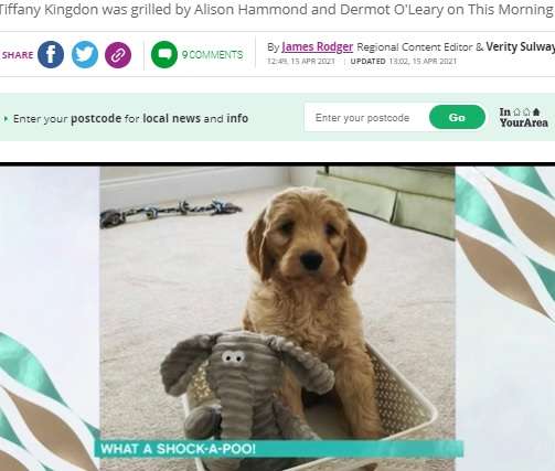 小型犬のはずが1年で体重32キロに！　ブリーダーに騙されるも飼い主「手放すことはないわ」（英）