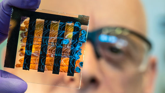T細胞は新型コロナウイルスの変異株も認識できることが最新の研究で明らかに - GIGAZINE
