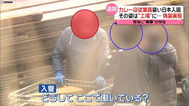 カレー店従業員装い日本へ　店訪ねると「この人知らない」　申請書類の印鑑は“偽造”（日本テレビ系（NNN）） - Yahoo!ニュース