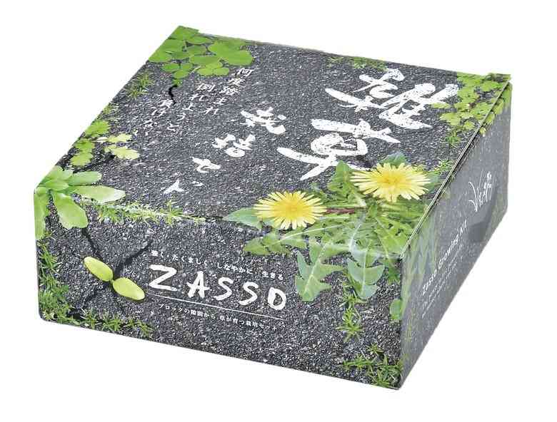 手塩にかけて“雑草”を育てる時代!? 「雑草栽培セット」が1カ月半で3000個を販売…魅力を聞いた