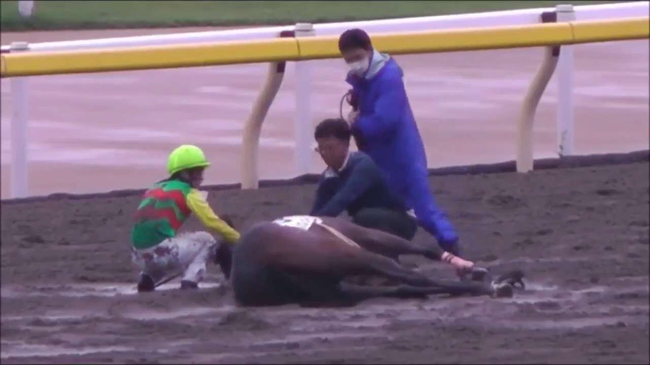 競馬でなんとゴール直前に転倒！馬をなだめる神対応の騎手 - YouTube
