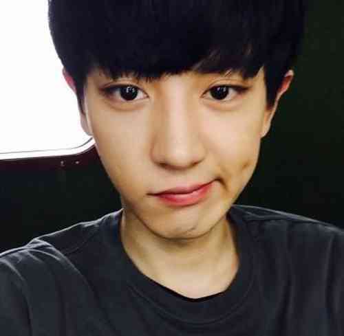 チャニョルの彼女は日本人？女遊びでホテル通いって嘘だよね？ | 韓流diary