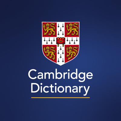 DIVERSITY | meaning in the Cambridge English Dictionary