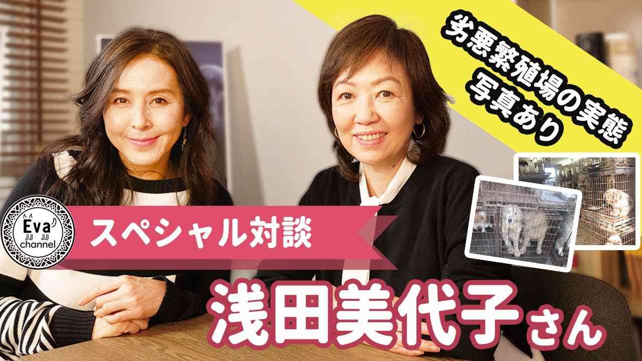 #29【スペシャル対談① 女優 浅田美代子さん】芸能界を代表する動物愛護活動家 浅田美代子さんとのスペシャル対談！！～動物愛護にかける想い～（前編） - YouTube