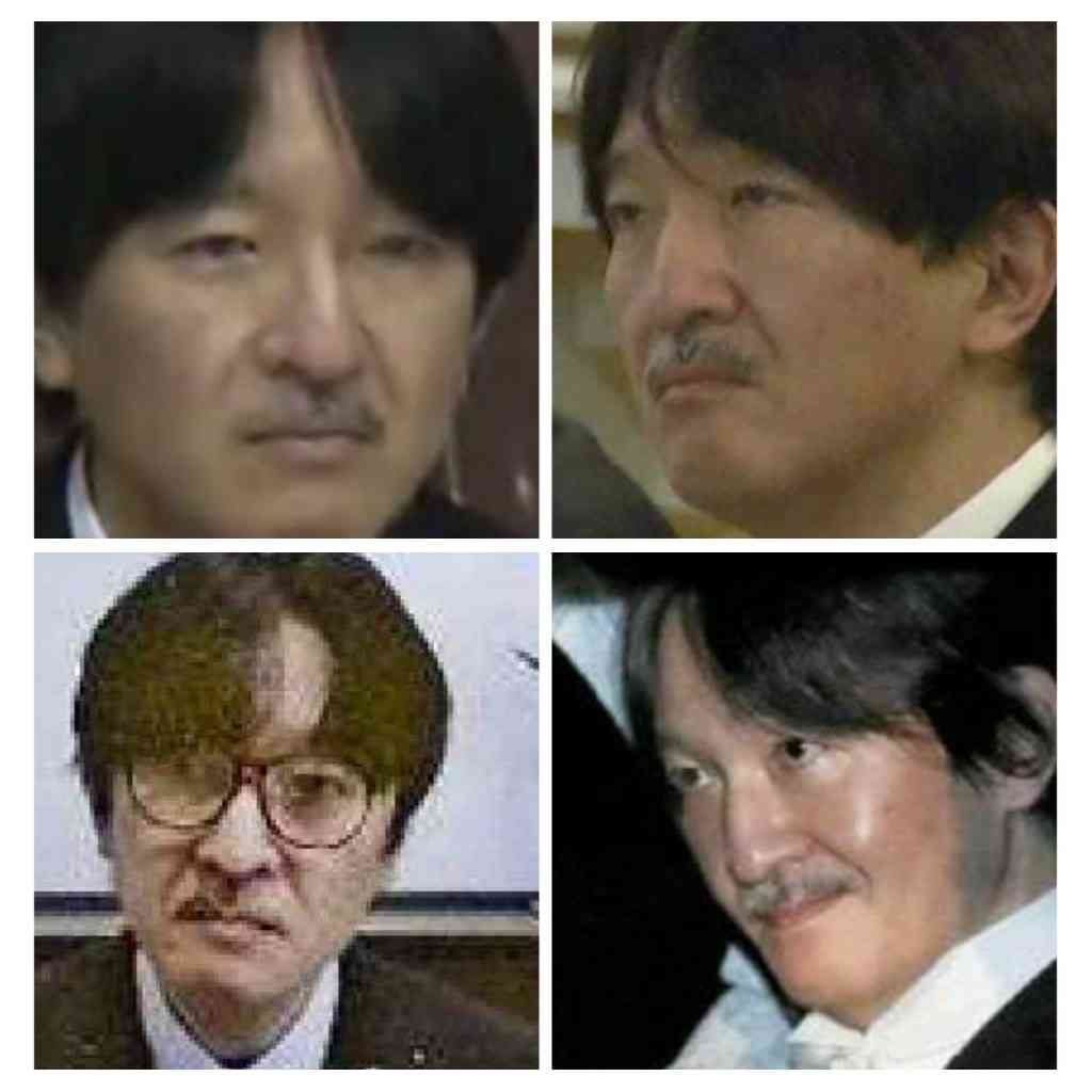 有識者会議、女性天皇賛否割れる　女系拡大には反対、慎重多数