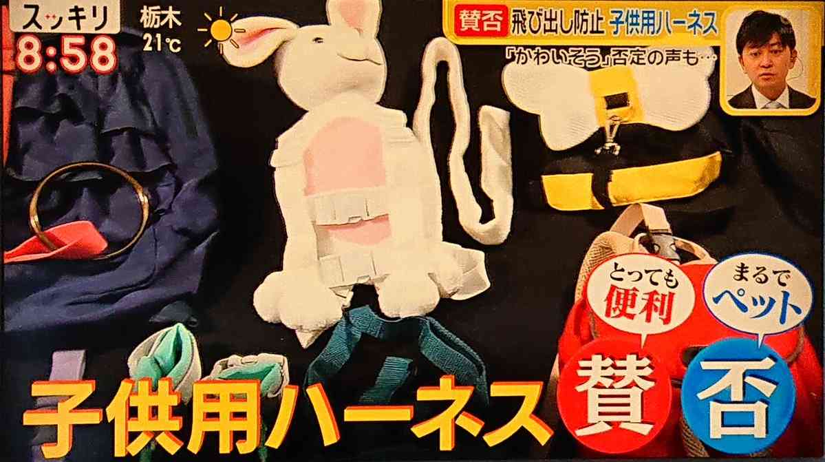 ペットみたい…「子供用ハーネス」巡りネット激論、トレンド入り 加藤浩次「親の使い方次第」　