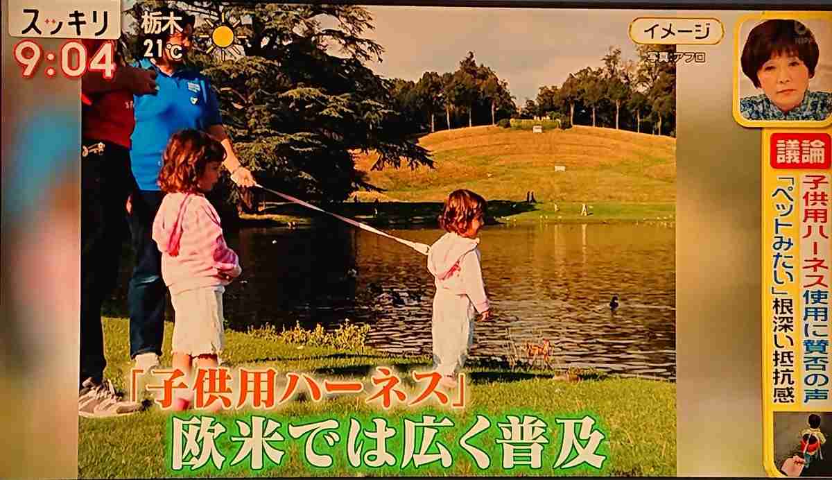 ペットみたい…「子供用ハーネス」巡りネット激論、トレンド入り 加藤浩次「親の使い方次第」　