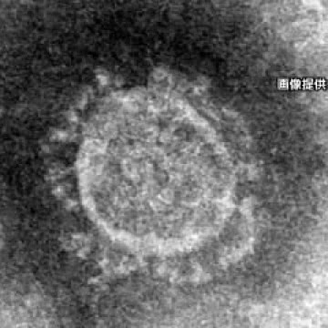 【速報】北海道2人死亡 232人感染…2021年最多 2日連続200人上回る 旭川も28人（北海道ニュースUHB） - Yahoo!ニュース