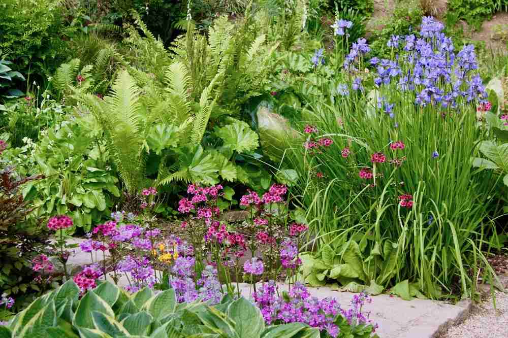 理想の庭をつくるための植物選びのコツとガーデンテクニック | GardenStory (ガーデンストーリー)