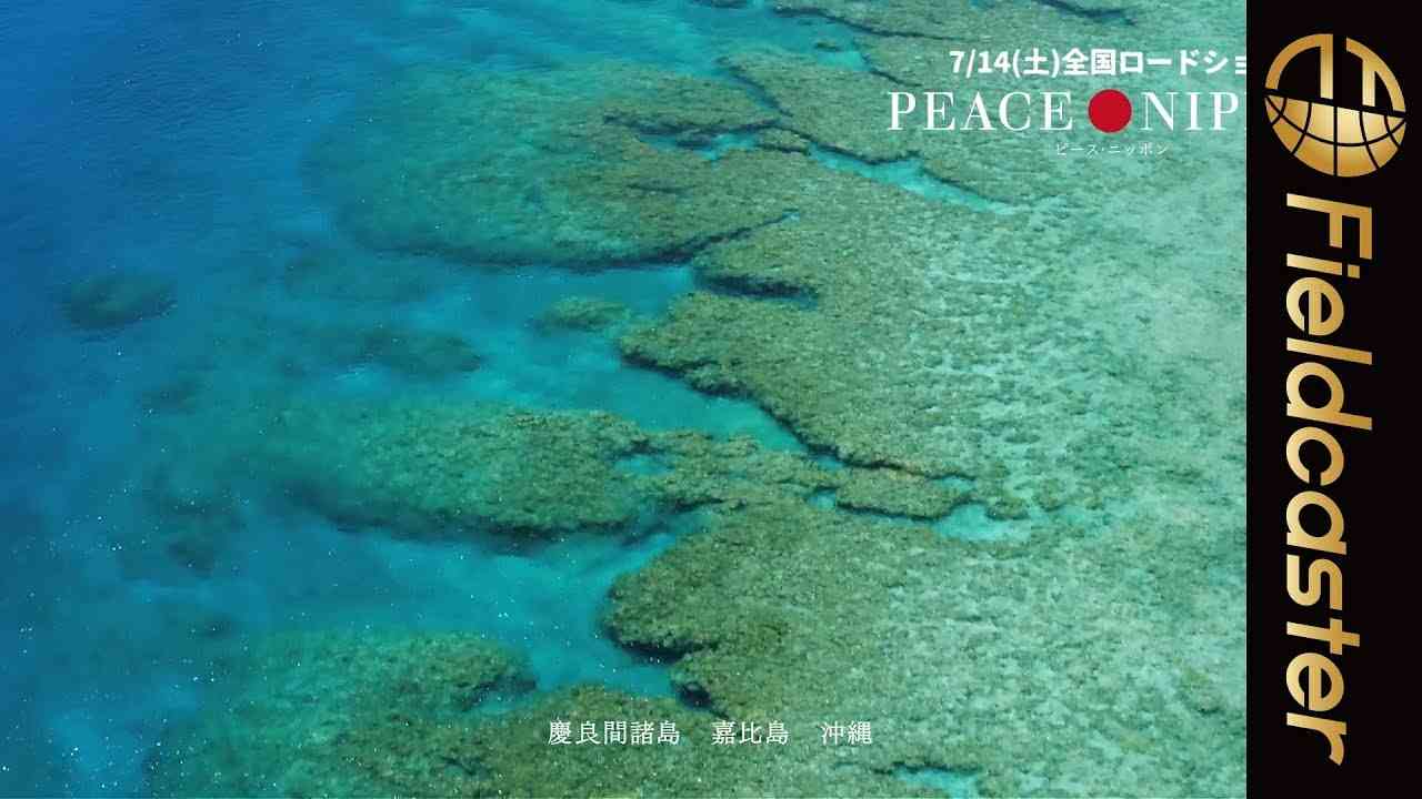 美しすぎる海の映像のナレーションを東出昌大が担当！映画『ピース・ニッポン』 - YouTube