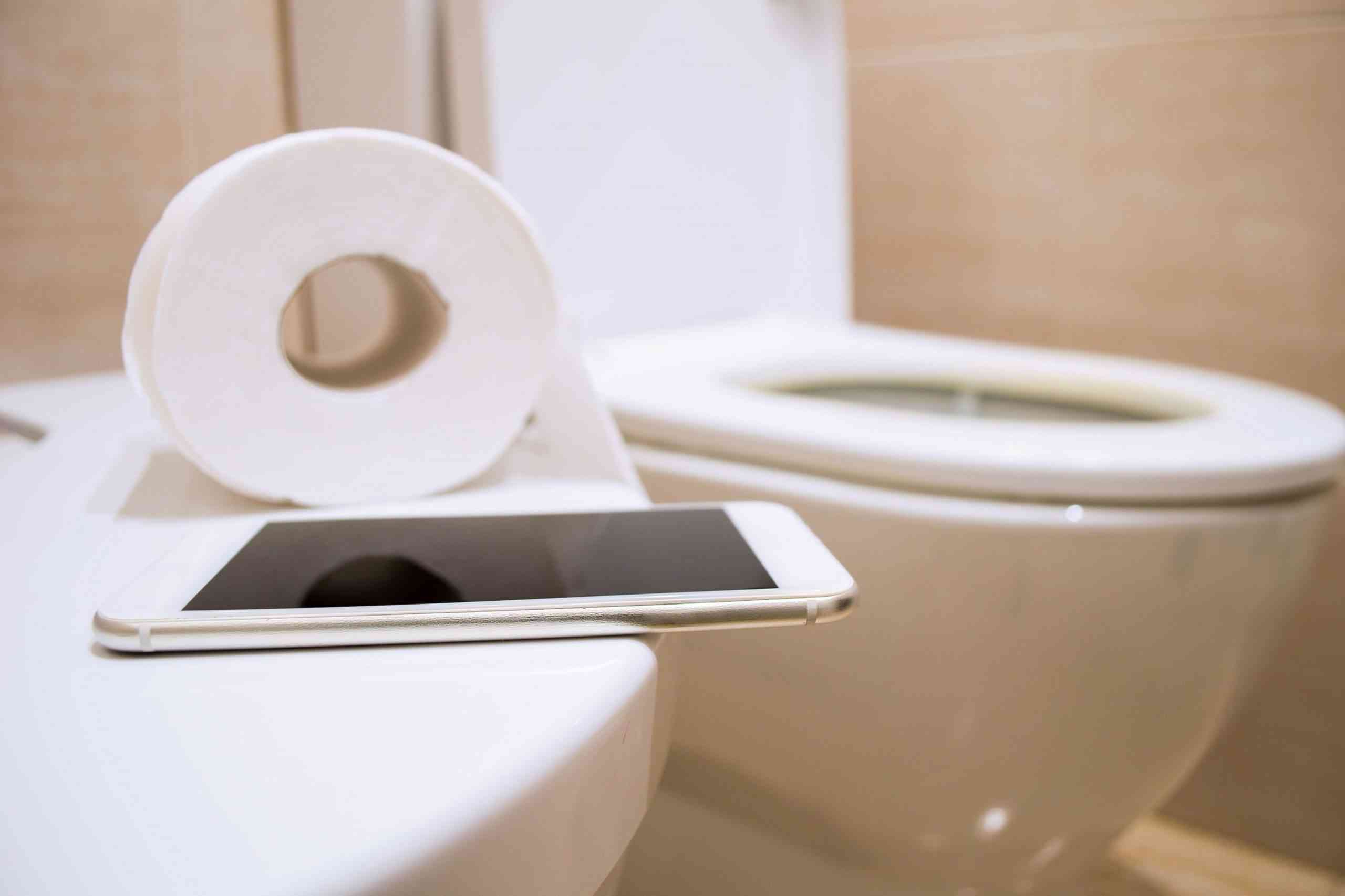 スマホをトイレに持ち込む人の「驚くべき言い分」　およそ5人に1人も… – ニュースサイトしらべぇ