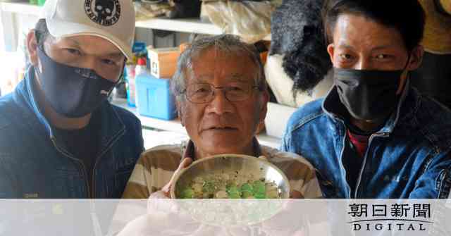 透明に光る謎の球体、100個超　民家の敷地から発見：朝日新聞デジタル