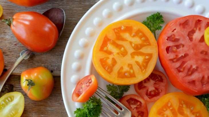 【ライフハック】「遺伝子組み換えトマトの断面がグロい」はフェイクですよ | 中西浩