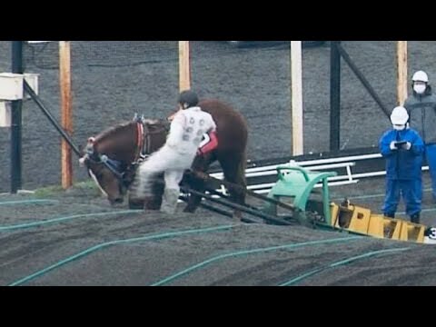 ばんえい競馬 騎手が馬の顔蹴る 戒告処分 4月18日 - YouTube