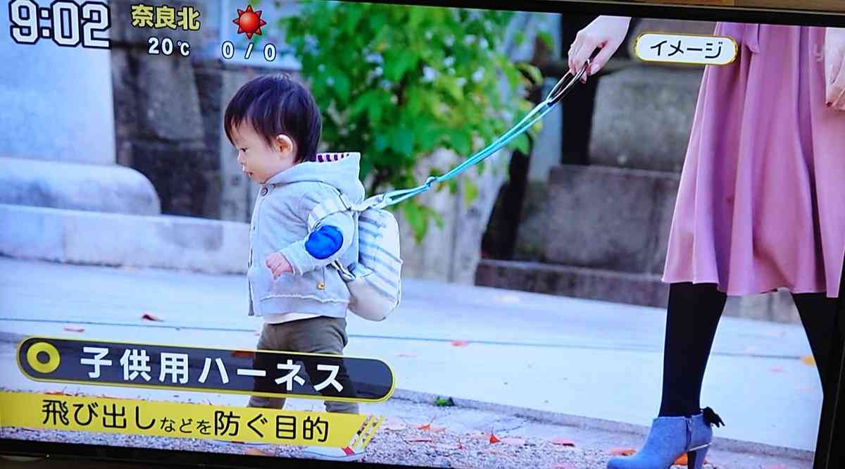 ペットみたい…「子供用ハーネス」巡りネット激論、トレンド入り 加藤浩次「親の使い方次第」　