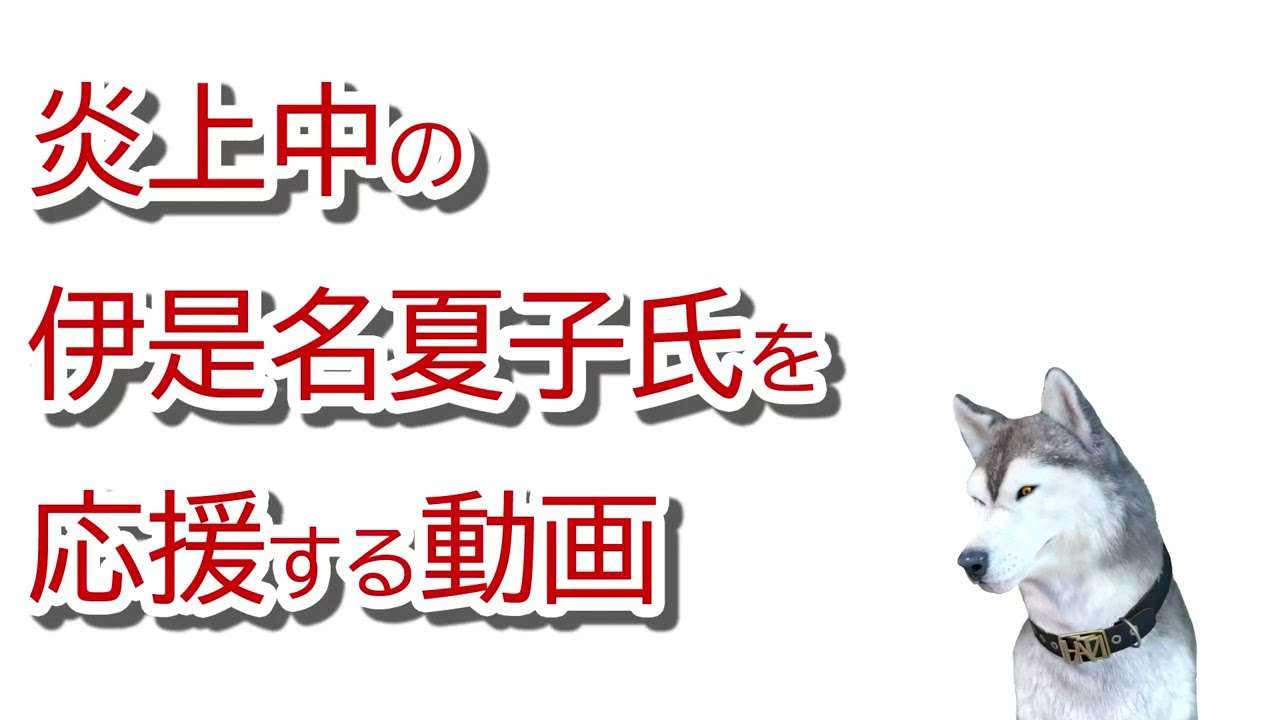 ブログ記事も削除、ハム速も記事削除、炎上商法が囁かれるなど、ブログが発端で、いろいろな事件が起こったので伊是名夏子さんを応援する動画。熱海旅行が大事に… - YouTube